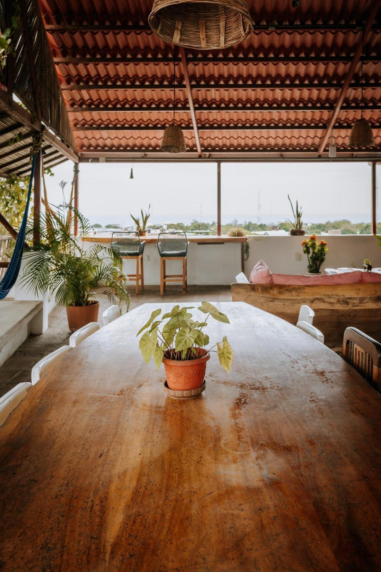 Terraza Puerto Hostel Пуэрто-Эскондидо Экстерьер фото